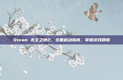 Steam 无主之地2,全面启动指南,掌握游戏精髓