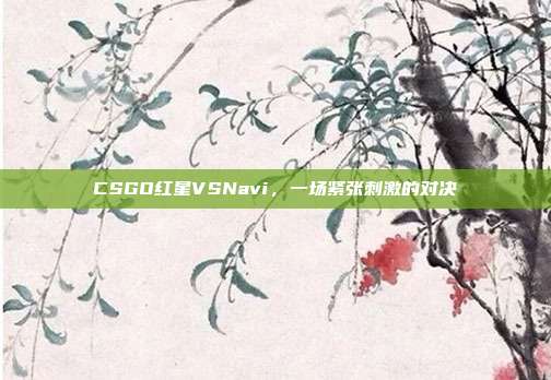 CSGO红星VSNavi,一场紧张刺激的对决