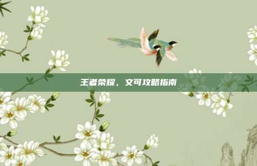 王者荣耀,文可攻略指南