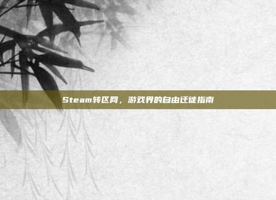 Steam转区网,游戏界的自由迁徙指南
