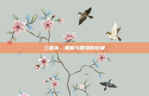 三国杀,策略与智慧的较量