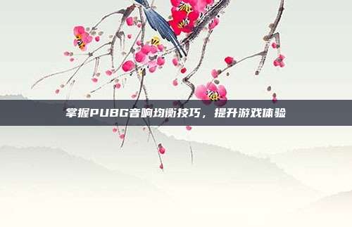 掌握PUBG音响均衡技巧,提升游戏体验