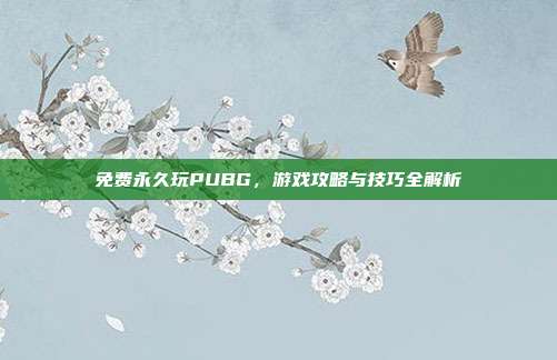 免费永久玩PUBG,游戏攻略与技巧全解析
