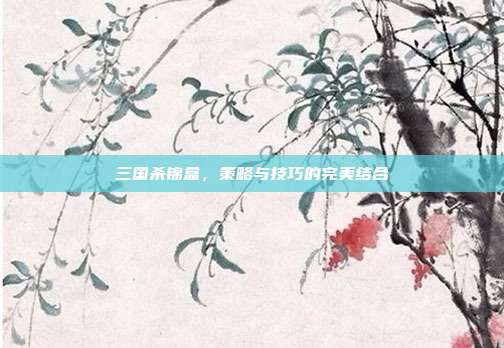 三国杀锦盒，策略与技巧的完美结合