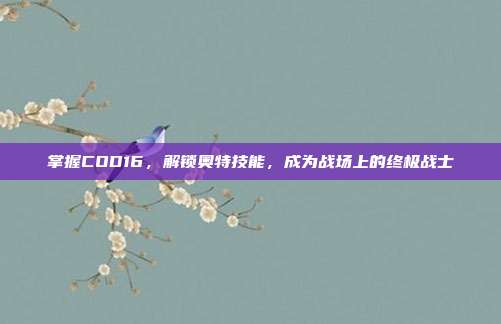 掌握COD16,解锁奥特技能,成为战场上的终极战士