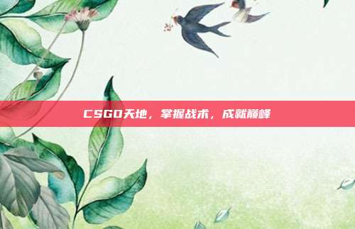 CSGO天地,掌握战术,成就巅峰
