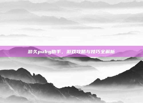 游久pubg助手,游戏攻略与技巧全解析