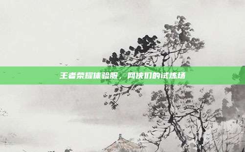 王者荣耀体验服，网侠们的试炼场