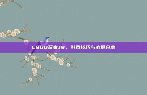 CSGO玩家JS,游戏技巧与心得分享