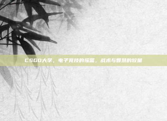 CSGO大学,电子竞技的摇篮,战术与智慧的较量