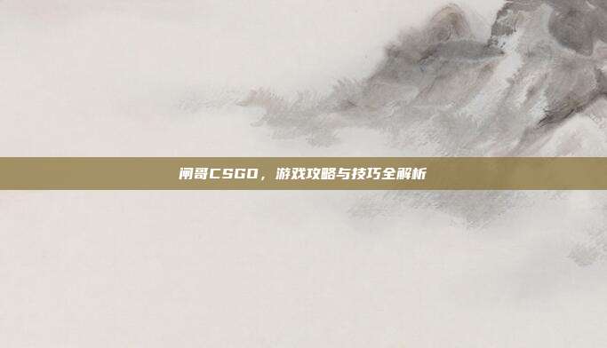 闸哥CSGO,游戏攻略与技巧全解析