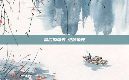 最后的龟壳-绝种龟壳