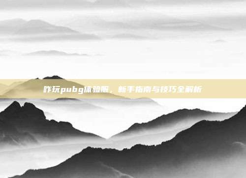 咋玩pubg体验服，新手指南与技巧全解析