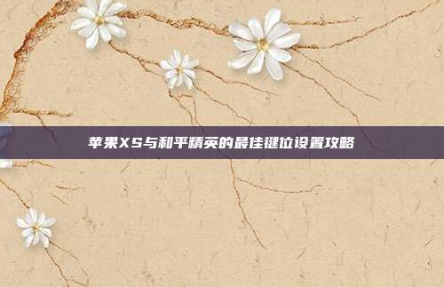 苹果XS与和平精英的最佳键位设置攻略