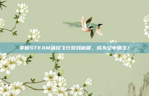 掌握STEAM遥控飞行游戏秘籍,成为空中霸主!