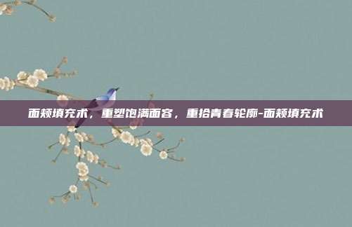 面颊填充术，重塑饱满面容，重拾青春轮廓-面颊填充术