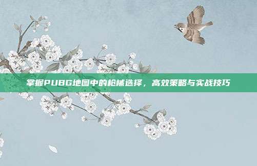 掌握PUBG地图中的枪械选择,高效策略与实战技巧