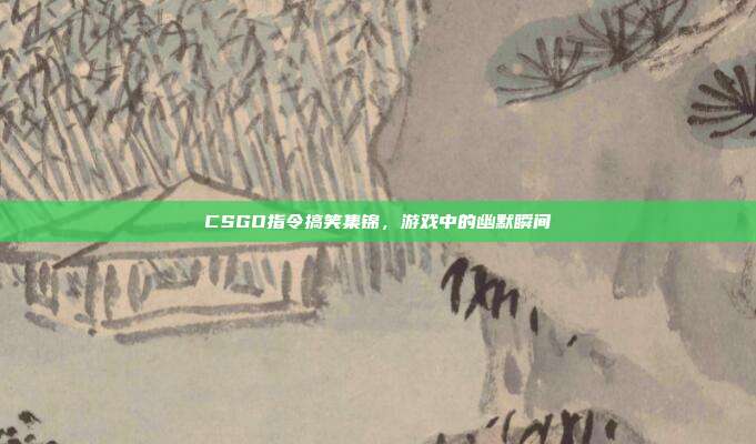 CSGO指令搞笑集锦,游戏中的幽默瞬间