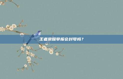 王者荣耀举报会封号吗?