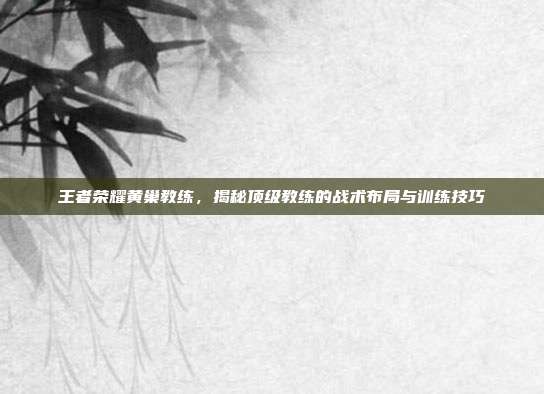 王者荣耀黄巢教练,揭秘顶级教练的战术布局与训练技巧