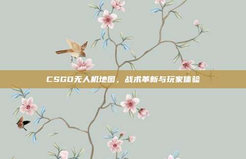 CSGO无人机地图,战术革新与玩家体验