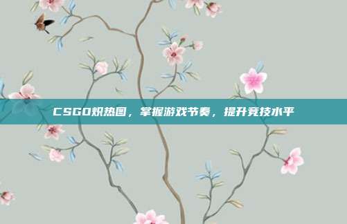 CSGO炽热图,掌握游戏节奏,提升竞技水平
