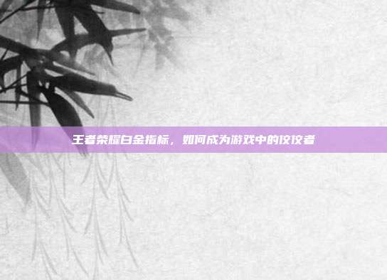 王者荣耀白金指标,如何成为游戏中的佼佼者
