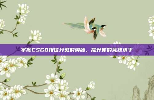 掌握CSGO排位分数的奥秘,提升你的竞技水平