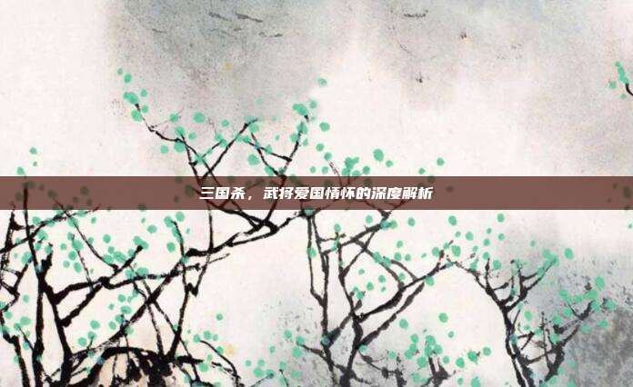 三国杀，武将爱国情怀的深度解析