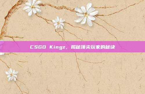 CSGO Kingz,揭秘顶尖玩家的秘诀