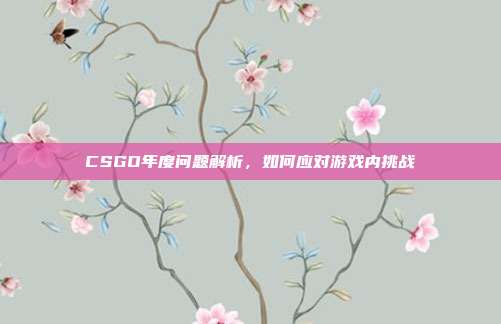 CSGO年度问题解析，如何应对游戏内挑战