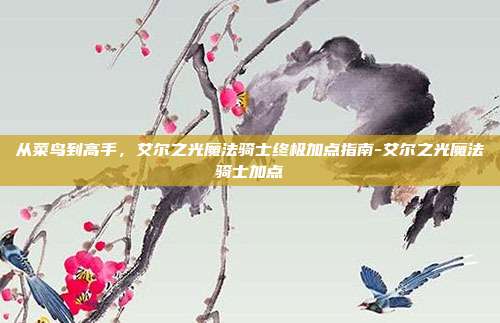 从菜鸟到高手，艾尔之光魔法骑士终极加点指南-艾尔之光魔法骑士加点