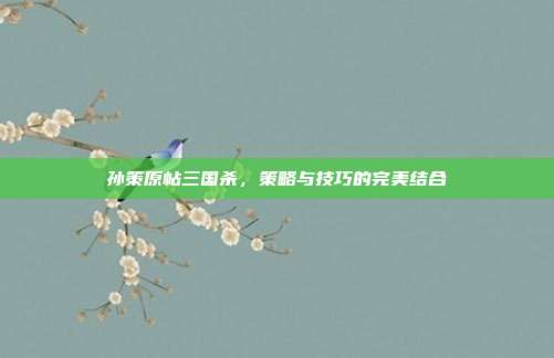 孙策原帖三国杀,策略与技巧的完美结合