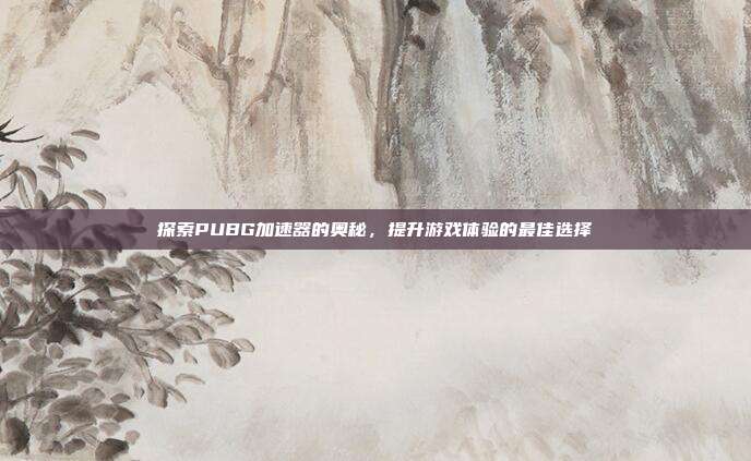 探索PUBG加速器的奥秘,提升游戏体验的最佳选择