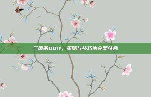 三国杀0011,策略与技巧的完美结合