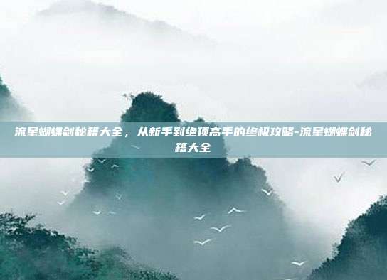 流星蝴蝶剑秘籍大全，从新手到绝顶高手的终极攻略-流星蝴蝶剑秘籍大全