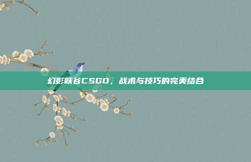 幻影峡谷CSGO,战术与技巧的完美结合