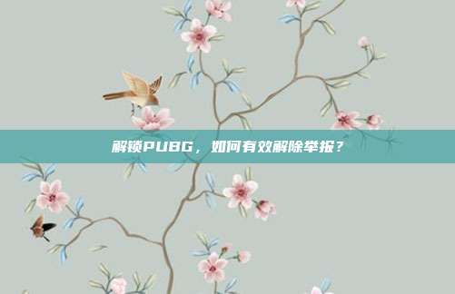 解锁PUBG,如何有效解除举报?