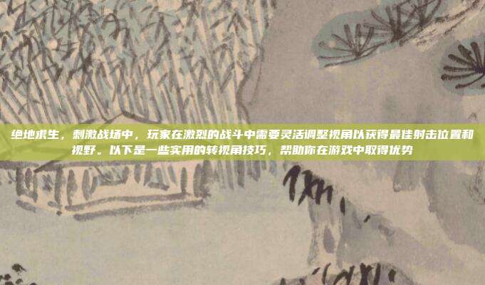 绝地求生，刺激战场中，玩家在激烈的战斗中需要灵活调整视角以获得最佳射击位置和视野。以下是一些实用的转视角技巧，帮助你在游戏中取得优势