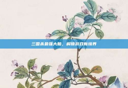 三国杀最强大脑,解锁游戏新境界