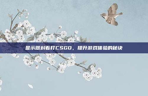 显示器斜着打CSGO,提升游戏体验的秘诀