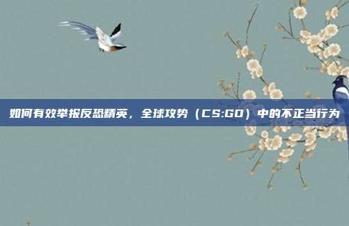 如何有效举报反恐精英,全球攻势(CS:GO)中的不正当行为