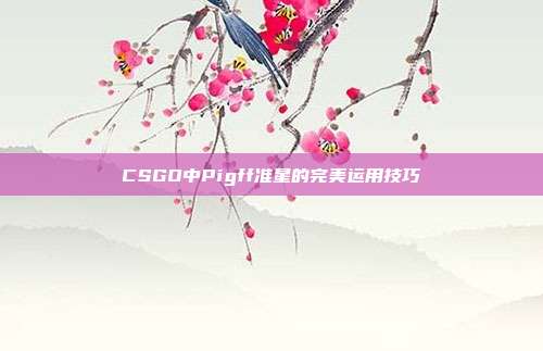 CSGO中Pigff准星的完美运用技巧