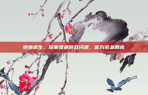 绝地求生,玩家遭遇游戏闪退,官方紧急回应