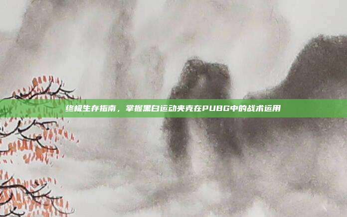 终极生存指南,掌握黑白运动夹克在PUBG中的战术运用