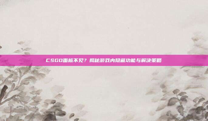 CSGO面板不见?揭秘游戏内隐藏功能与解决策略