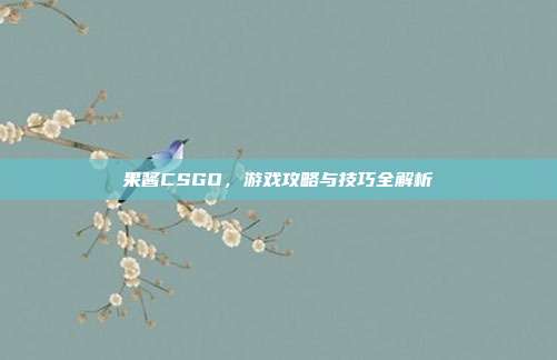 果酱CSGO，游戏攻略与技巧全解析