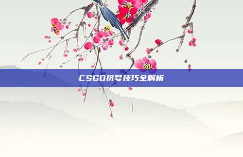 CSGO挤号技巧全解析