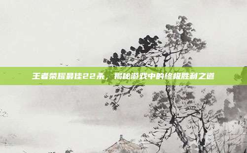 王者荣耀最佳22杀，揭秘游戏中的终极胜利之道