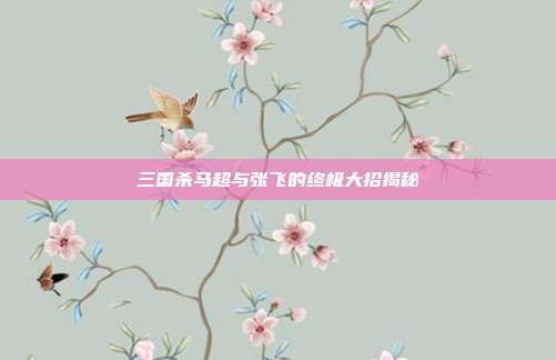 三国杀马超与张飞的终极大招揭秘
